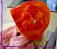 /album/fotogaleria-plsteni-s-ovci-vlny-merino/img-3987-jpg1/